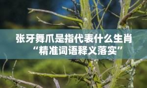 张牙舞爪是指代表什么生肖“精准词语释义落实”