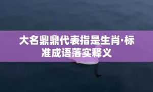 大名鼎鼎代表指是生肖·标准成语落实释义