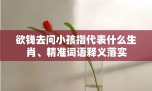 欲钱去问小孩指代表什么生肖、精准词语释义落实