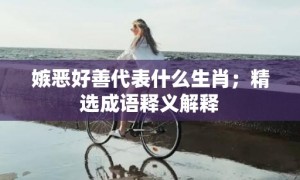 嫉恶好善代表什么生肖；精选成语释义解释