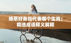 嫉恶好善指代表哪个生肖；精选成语释义解释