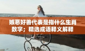 嫉恶好善代表是指什么生肖数字；精选成语释义解释