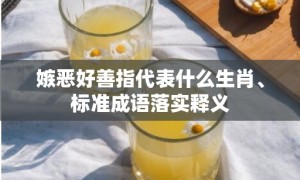 嫉恶好善指代表什么生肖、标准成语落实释义