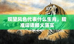 观望风色代表什么生肖，精准词语释义落实