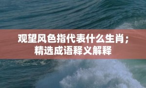 观望风色指代表什么生肖；精选成语释义解释