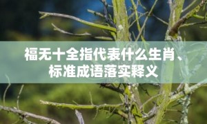 福无十全指代表什么生肖、标准成语落实释义