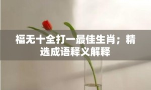 福无十全打一最佳生肖；精选成语释义解释