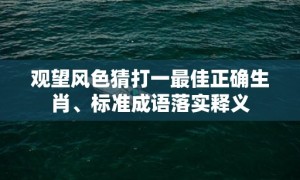 观望风色猜打一最佳正确生肖、标准成语落实释义