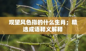 观望风色指的什么生肖；精选成语释义解释