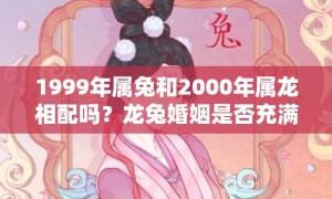 1999年属兔和2000年属龙相配吗？龙兔婚姻是否充满矛盾？