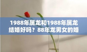 1988年属龙和1988年属龙结婚好吗？88年龙男女的婚姻如何？