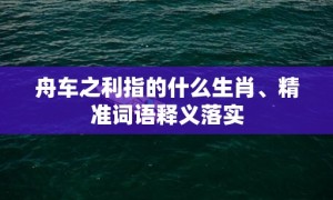 舟车之利指的什么生肖、精准词语释义落实