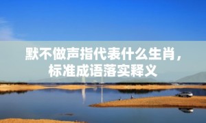 默不做声指代表什么生肖，标准成语落实释义