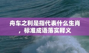 舟车之利是指代表什么生肖，标准成语落实释义