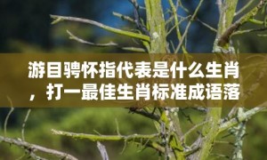 游目骋怀指代表是什么生肖，打一最佳生肖标准成语落实释义