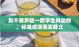 默不做声猜一数字生肖动物，标准成语落实释义