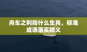 舟车之利指什么生肖，标准成语落实释义