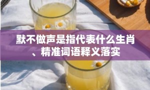 默不做声是指代表什么生肖、精准词语释义落实