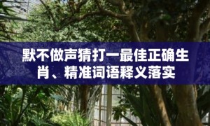 默不做声猜打一最佳正确生肖、精准词语释义落实