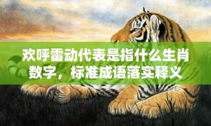 欢呼雷动代表是指什么生肖数字，标准成语落实释义