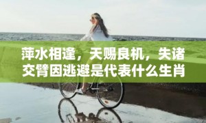 萍水相逢，天赐良机，失诸交臂因逃避是代表什么生肖 、精准词语释义落实