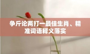 争斤论两打一最佳生肖、精准词语释义落实