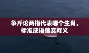 争斤论两指代表哪个生肖，标准成语落实释义