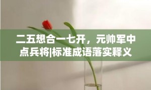 二五想合一七开，元帅军中点兵将|标准成语落实释义