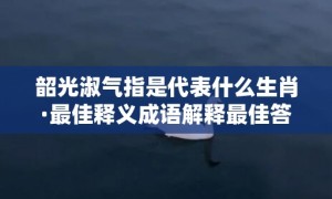 韶光淑气指是代表什么生肖·最佳释义成语解释最佳答