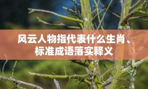 风云人物指代表什么生肖、标准成语落实释义