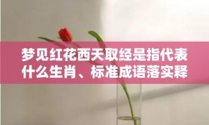 梦见红花西天取经是指代表什么生肖、标准成语落实释义