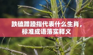 跌磕蹭蹬指代表什么生肖，标准成语落实释义