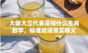 大破大立代表是指什么生肖数字，标准成语落实释义