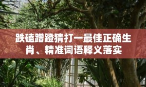 跌磕蹭蹬猜打一最佳正确生肖、精准词语释义落实