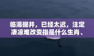 临渴掘井，已经太迟，注定凄凉难改变指是什么生肖、精准词语释义落实