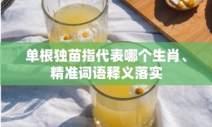 单根独苗指代表哪个生肖、精准词语释义落实