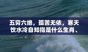 五穷六绝，孤苦无依，寒天饮水冷自知指是什么生肖、精准词语释义落实