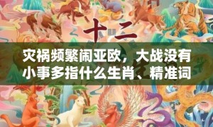 灾祸频繁闹亚欧，大战没有小事多指什么生肖、精准词语释义落实