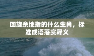 回旋余地指的什么生肖，标准成语落实释义