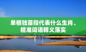 单根独苗指代表什么生肖、精准词语释义落实