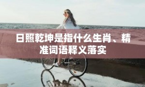 日照乾坤是指什么生肖、精准词语释义落实