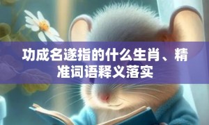 功成名遂指的什么生肖、精准词语释义落实