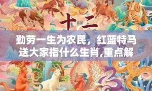 勤劳一生为农民，红蓝特马送大家指什么生肖,重点解析成语落实