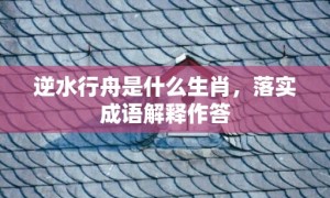 逆水行舟是什么生肖，落实成语解释作答