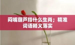 闷嘴葫芦指什么生肖；精准词语释义落实