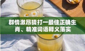 群情激昂猜打一最佳正确生肖、精准词语释义落实