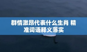 群情激昂代表什么生肖 精准词语释义落实