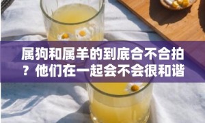 属狗和属羊的到底合不合拍？他们在一起会不会很和谐？