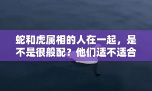 蛇和虎属相的人在一起，是不是很般配？他们适不适合婚配？