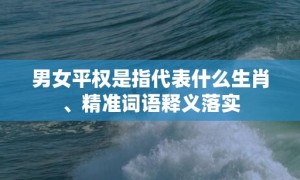 男女平权是指代表什么生肖、精准词语释义落实